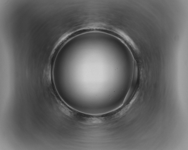 X0000113561224200909181213