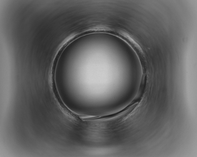 X0000113561229200909181213