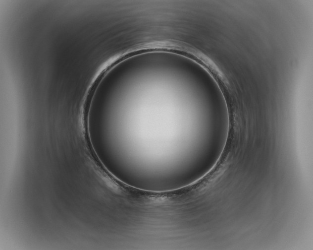 X0000113561230200909181213