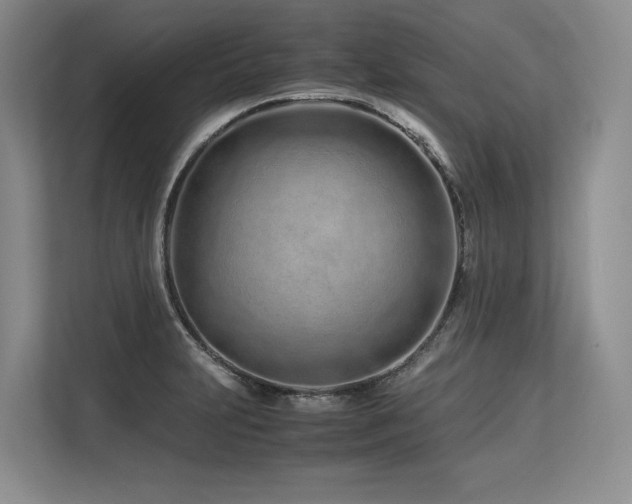 X0000113561231200909181213