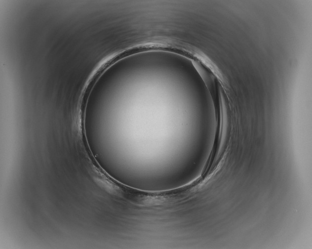 X0000113561232200909181213
