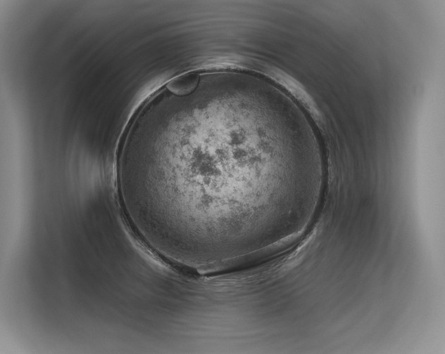 X0000113561234200909181213