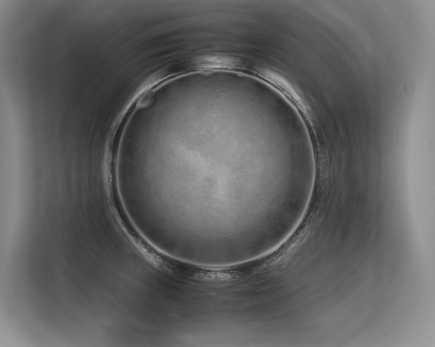 X0000113561235200909181213