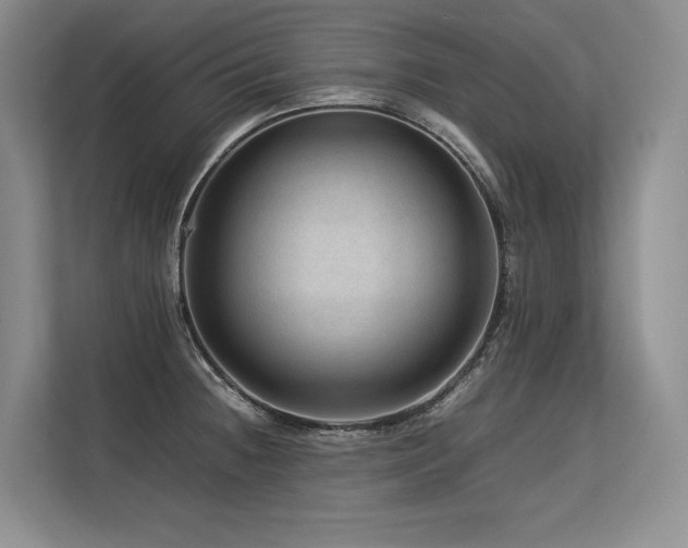 X0000113561236200909181213