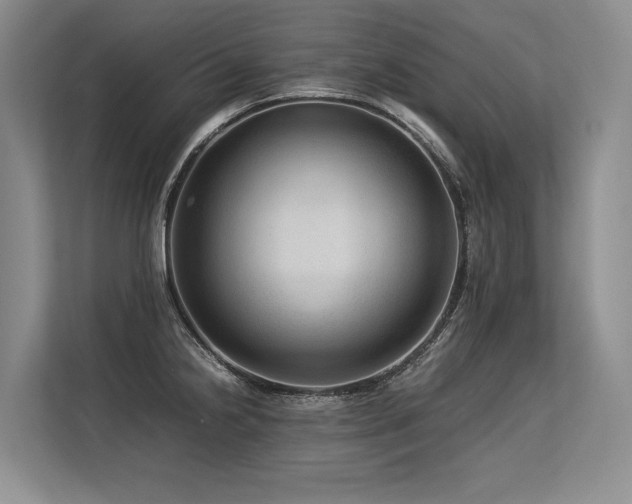 X0000113561238200909181213