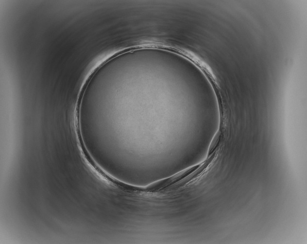 X0000113561239200909181213
