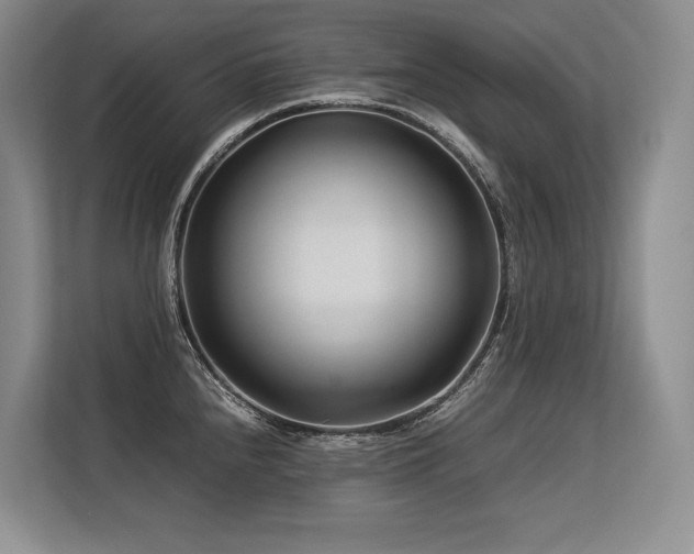 X0000113561240200909181213