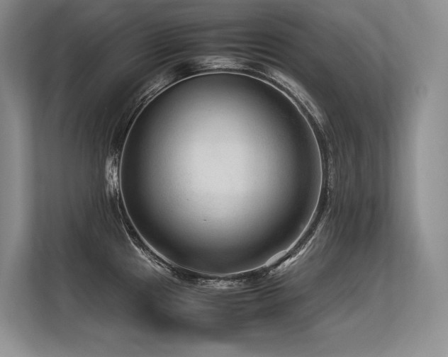X0000113561241200909181213