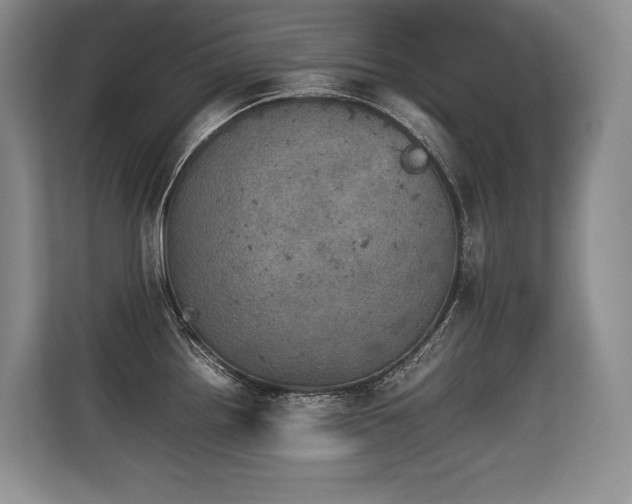 X0000113561242200909181213