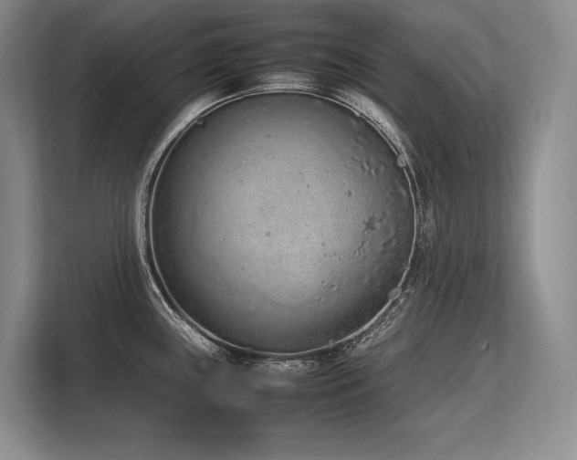 X0000113561243200909181213