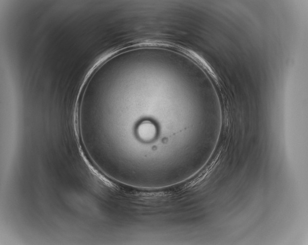 X0000113561247200909181213