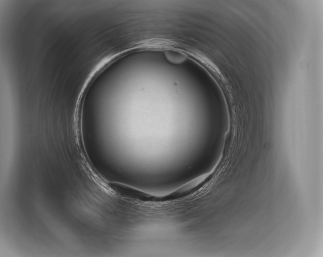 X0000113561248200909181213