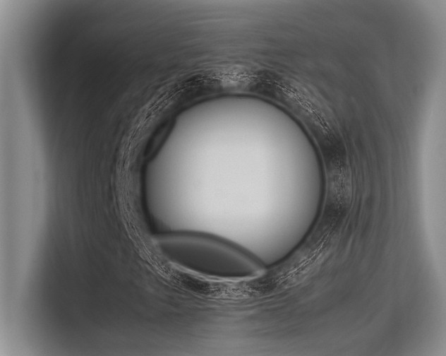 X0000113561249200909181212