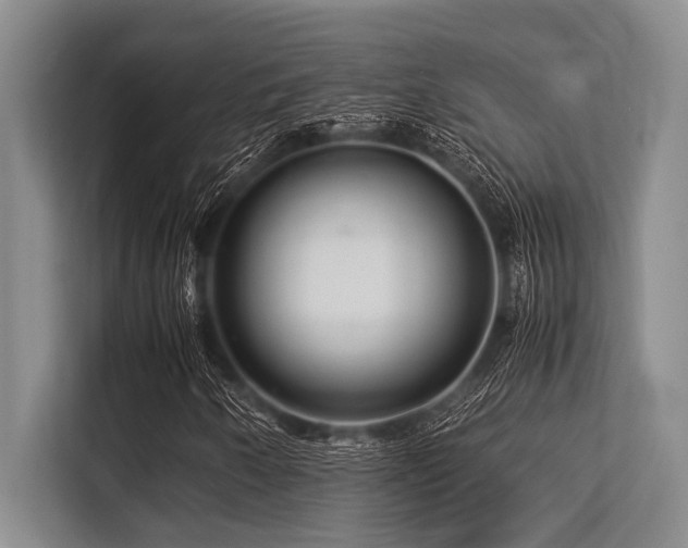 X0000113561250200909181212