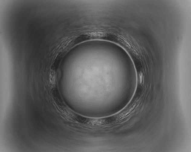 X0000113561251200909181212