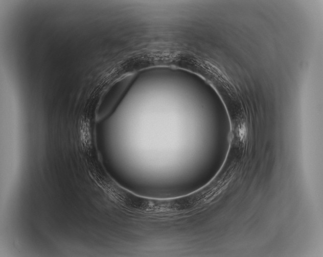 X0000113561252200909181212