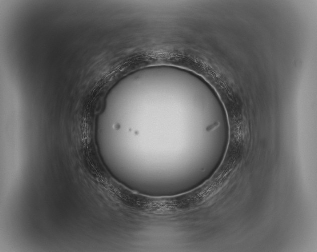 X0000113561253200909181212