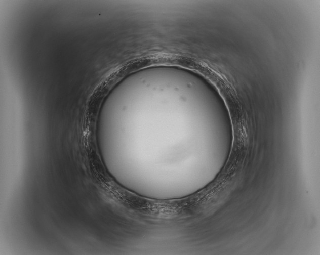 X0000113561254200909181212