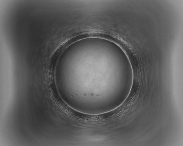 X0000113561255200909181212