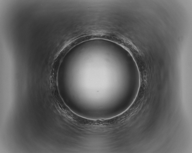 X0000113561256200909181212