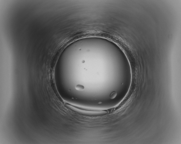 X0000113561257200909181212