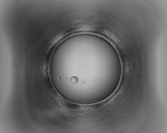 X0000113561258200909181212