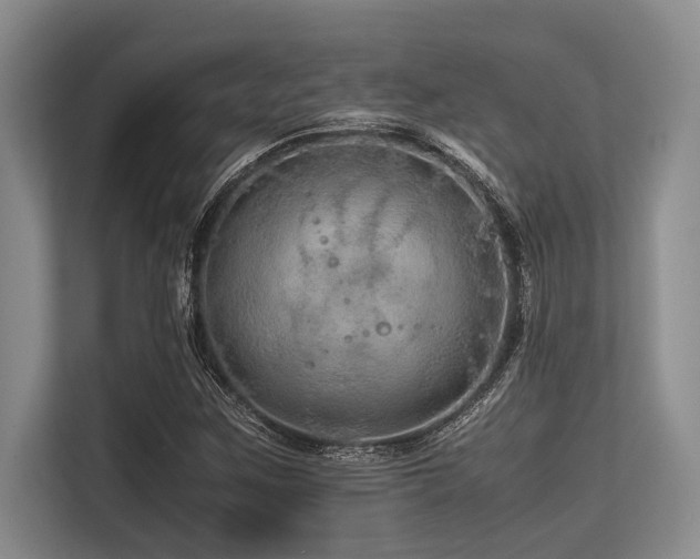 X0000113561259200909181212