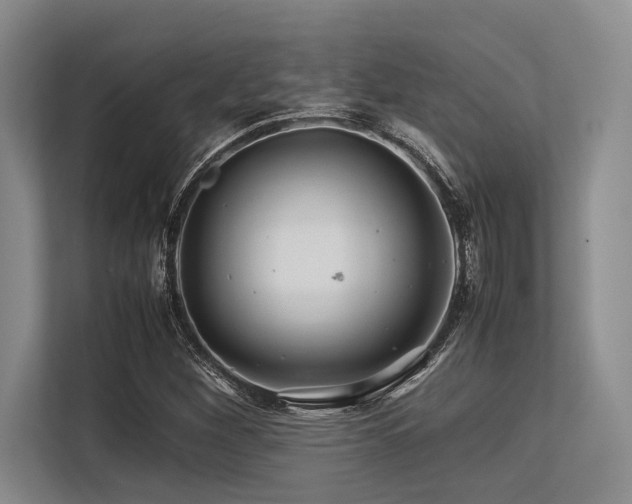 X0000113561260200909181212