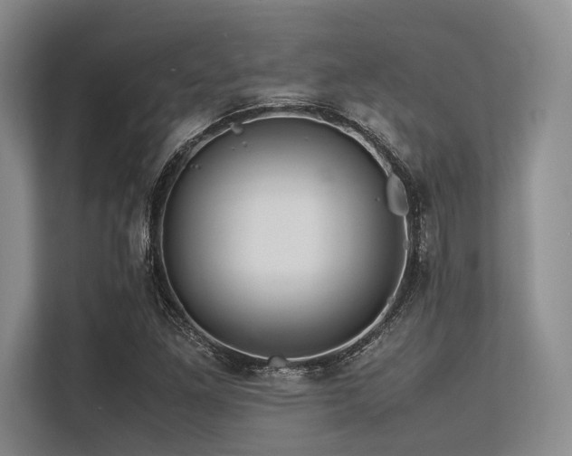 X0000113561261200909181212