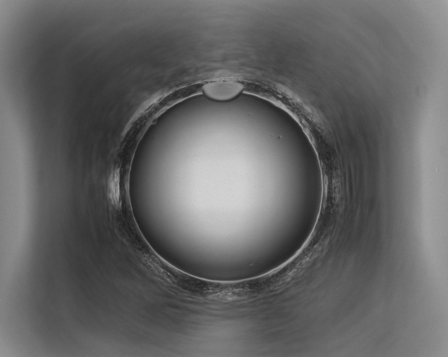 X0000113561262200909181212