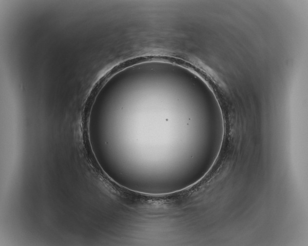 X0000113561264200909181212