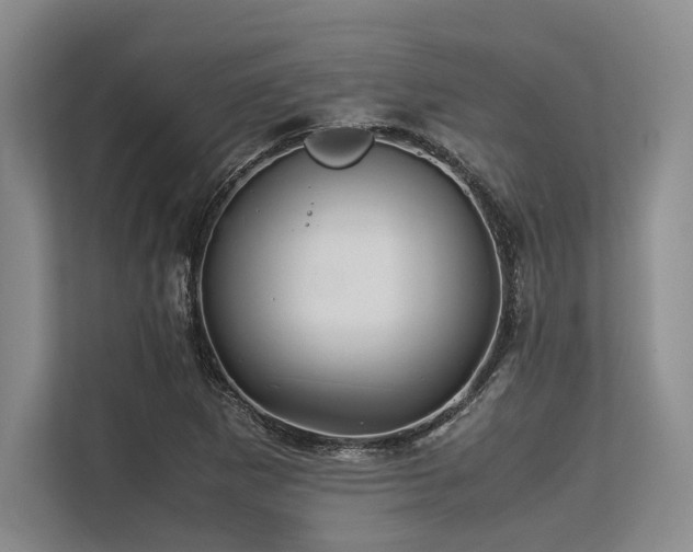 X0000113561265200909181212