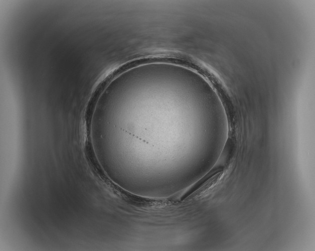 X0000113561267200909181212