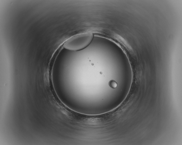 X0000113561268200909181212