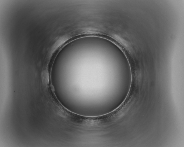 X0000113561269200909181212