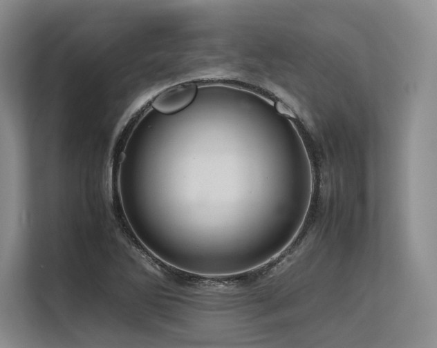 X0000113561270200909181212