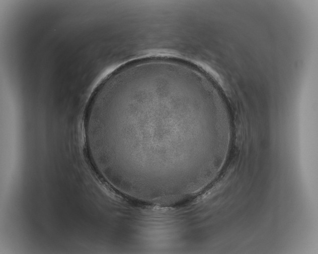 X0000113561271200909181212
