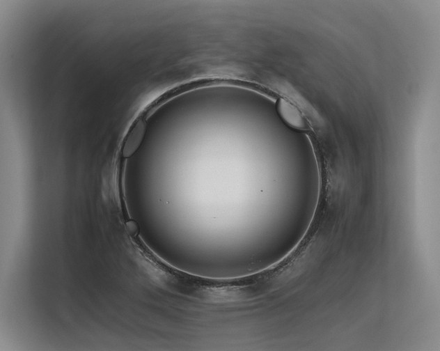 X0000113561272200909181212