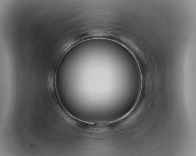 X0000113561273200909181212