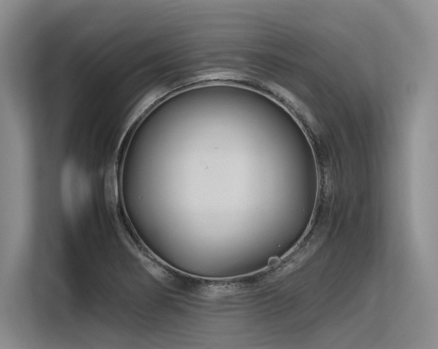 X0000113561274200909181212