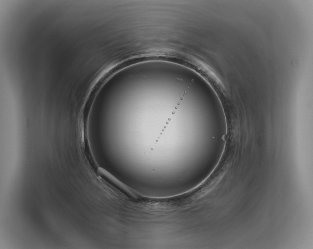 X0000113561275200909181212