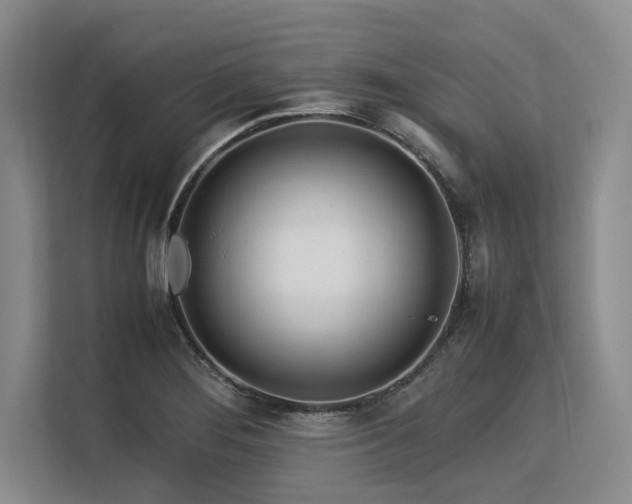 X0000113561276200909181212