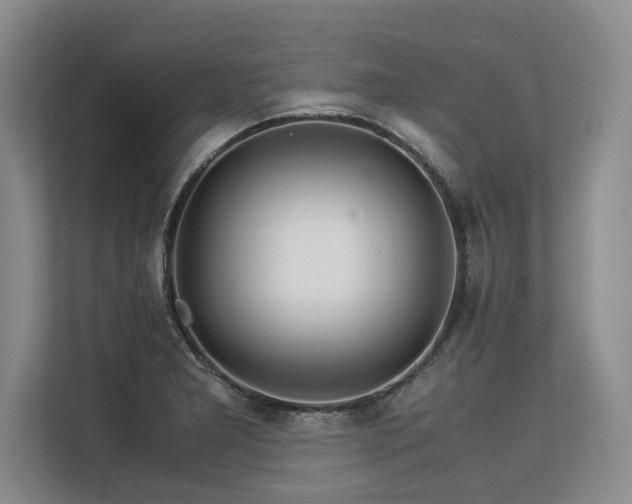 X0000113561277200909181212