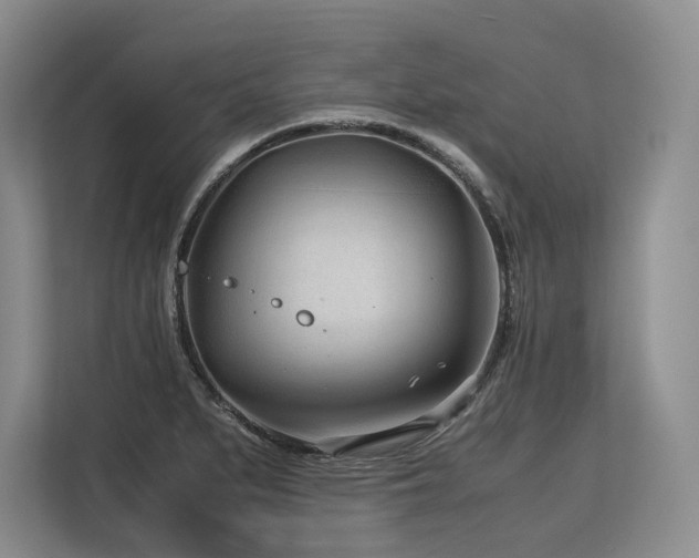 X0000113561279200909181212