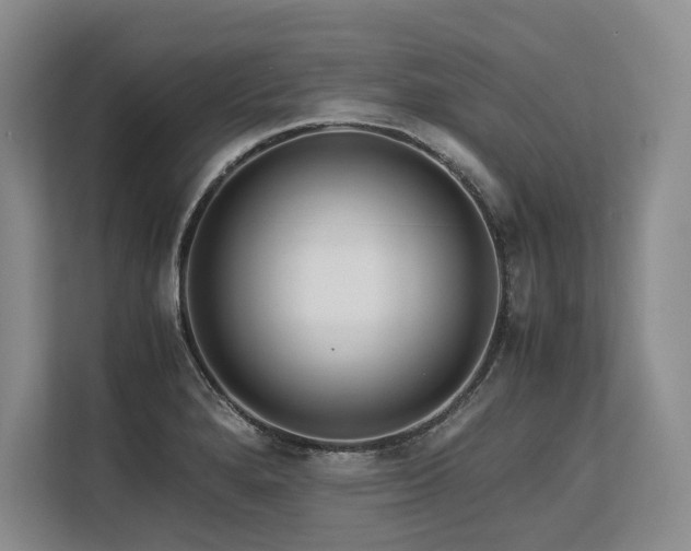 X0000113561280200909181212
