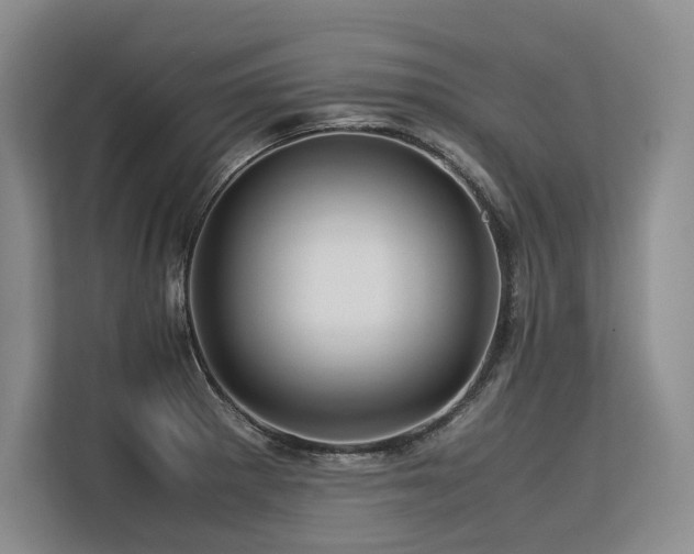 X0000113561281200909181212