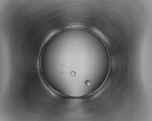 X0000113561282200909181212