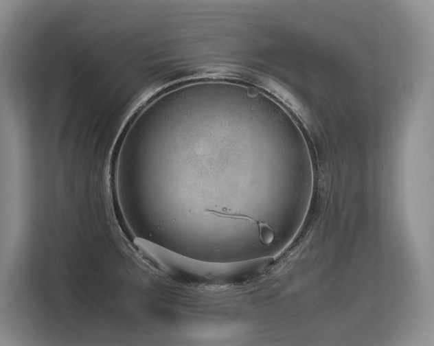 X0000113561283200909181212