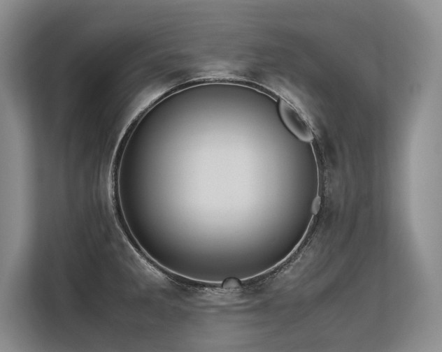X0000113561285200909181212