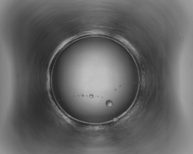 X0000113561286200909181212